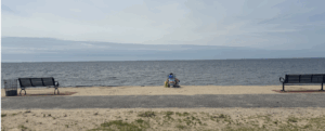 View of Great South Bay